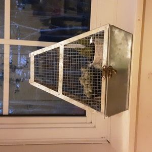 Ashland plant holder